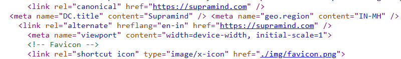 canonical tag