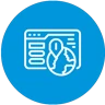 Local SEO for Tour Operators