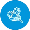 Software Audit, Integrations, and Automation